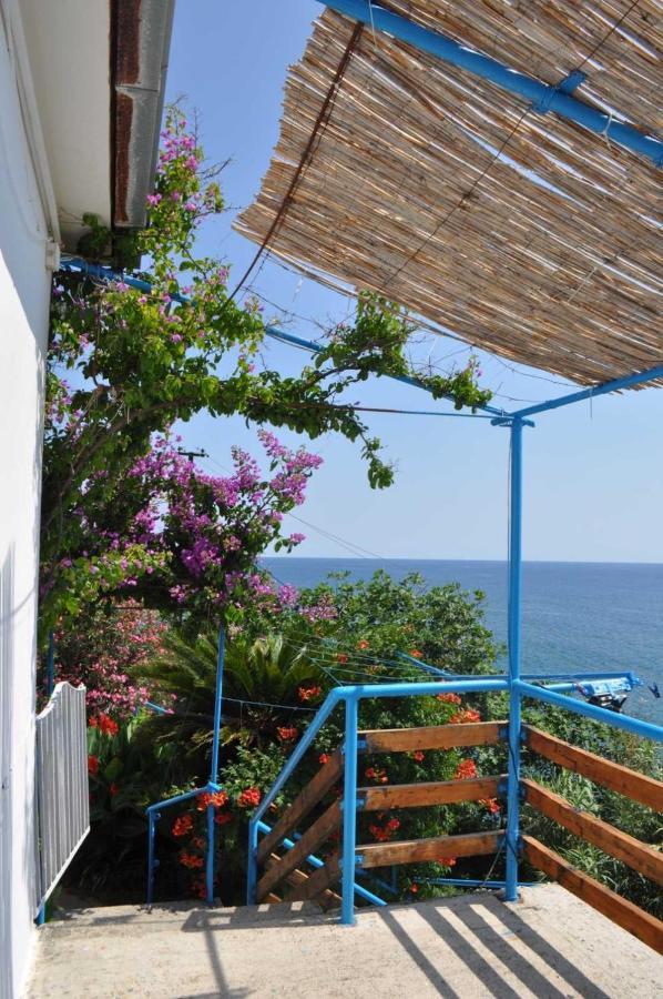 Sunset Apartment Ulcinj Exterior photo